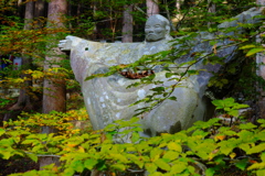 2018長安寺_秋