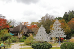 edited by Digital Photo Professional 4_4