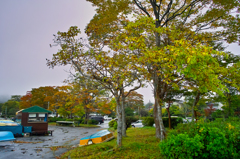 箱根２０１４紅葉