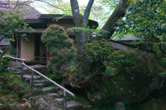 強羅公園_白雲洞