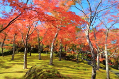 2025_強羅_箱根美術館4