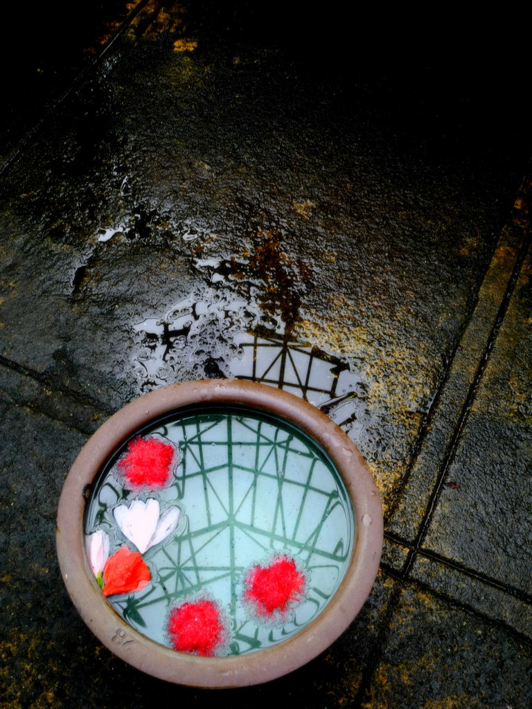 もう一つの花の観賞方法