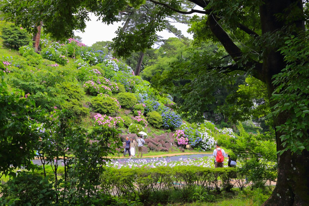 TEST_EF24mm-105  4L_9