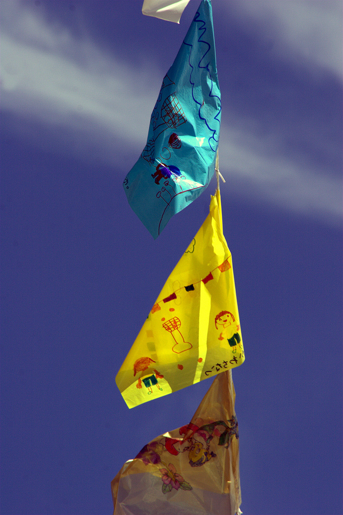 Flag