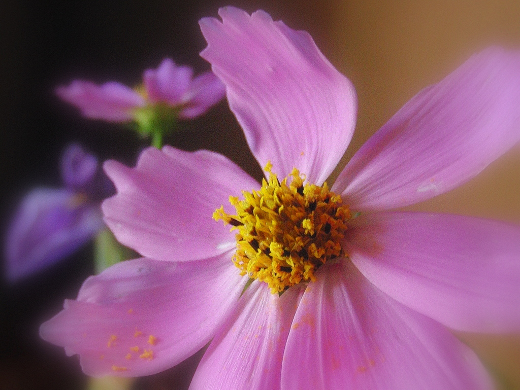 test_EX-FC100_2