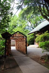 雨の合間の_5