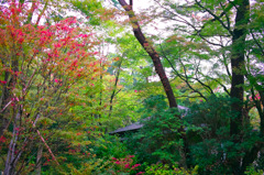 岡田美術館_開化亭