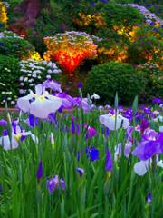 33786436_1122557364552403_23437015825598