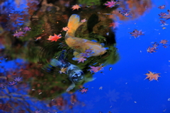 2025_強羅_箱根美術館8