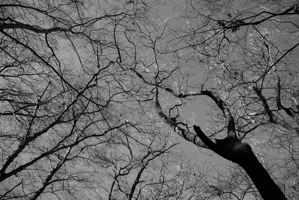 20250103初詣＿４