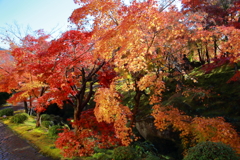 2025_強羅_箱根美術館1