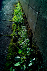SDIM0019