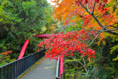 2025_湯河原_万葉公園8