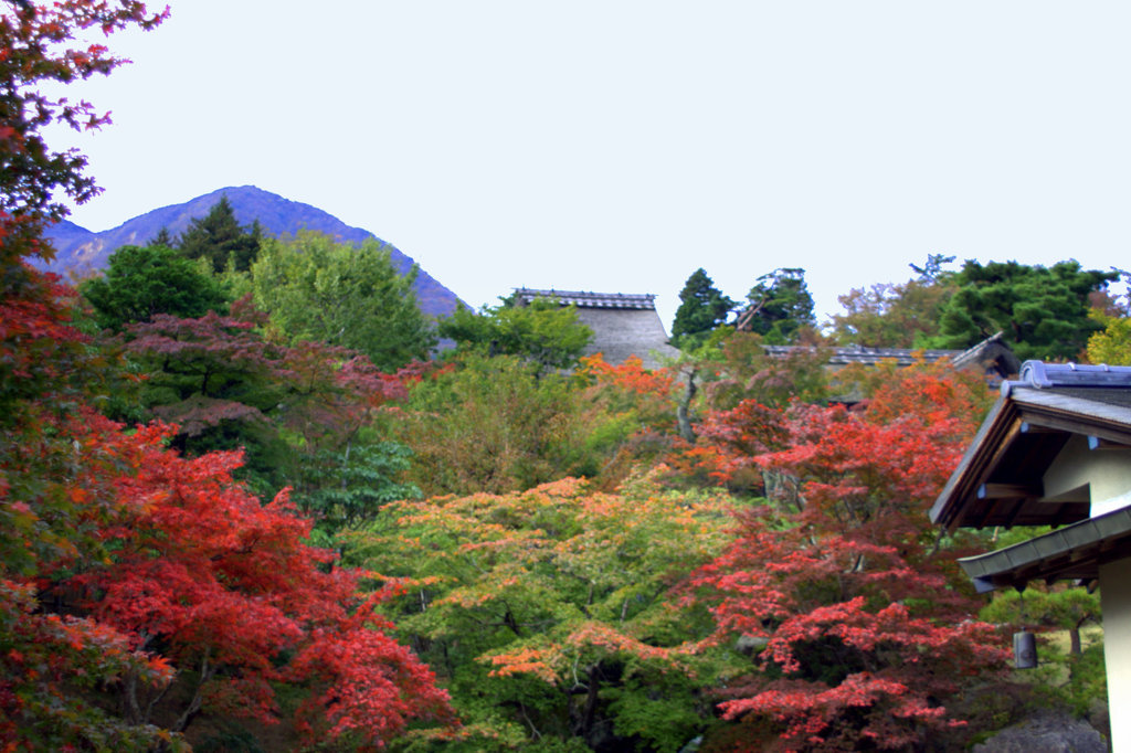 箱根強羅美術館20111109_3
