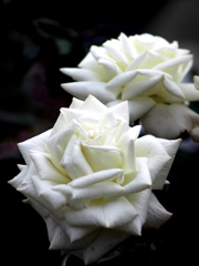 In a rosary_4 Black and white