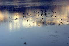 opening of the dance