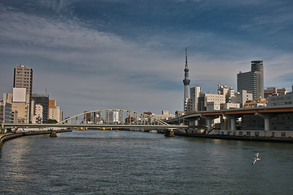 両国橋からのスカイツリー By Mic Jiji Id 写真共有サイト Photohito