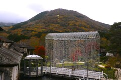 箱根ガラスの森10
