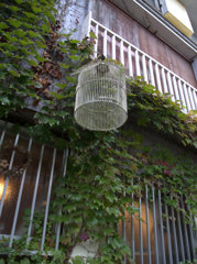 1-DSCN1319