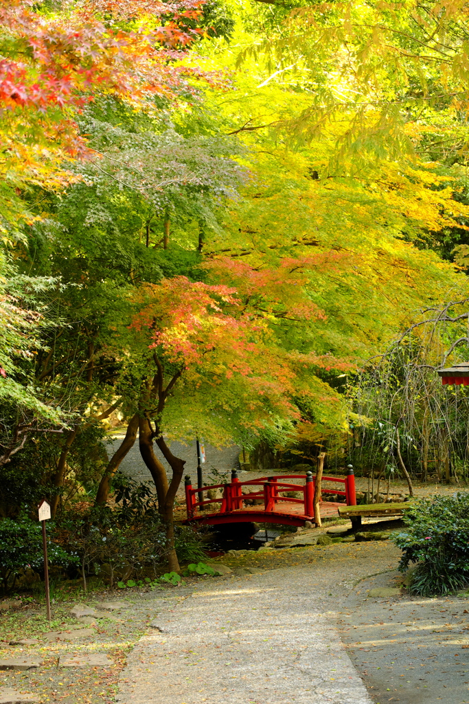 湯河原 万葉公園 2016