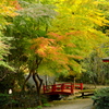 湯河原 万葉公園 2016