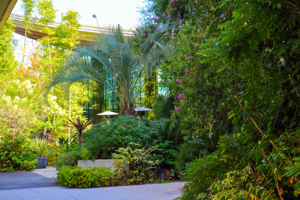 2025＿秋の横浜散策_借景