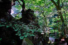 1-SDIM0122