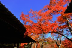 2025_箱根美術館3