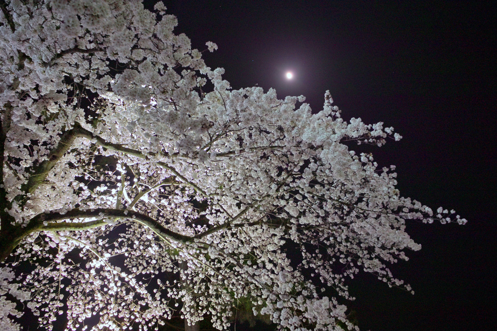 月夜