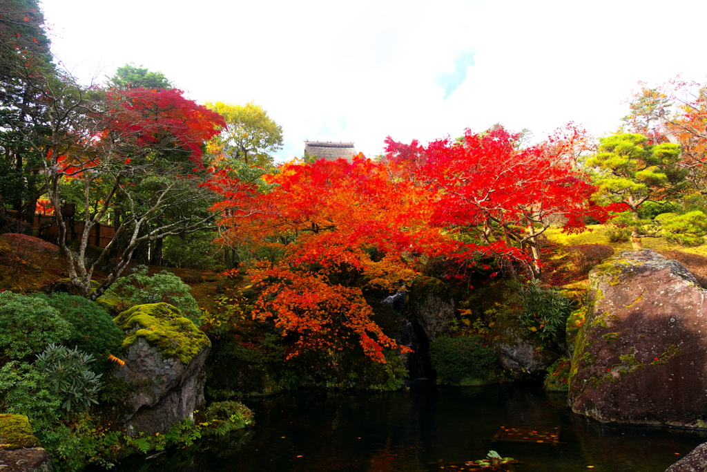 2017_箱根美術館