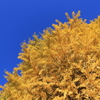2024 hakoneitabashi1201_1
