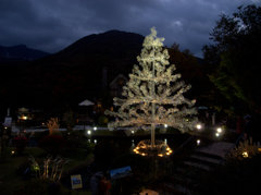 1-DSCN2228