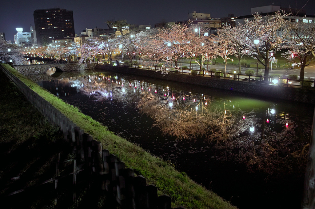 小田原城址