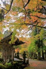edited by Digital Photo Professional 4_3
