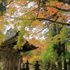 edited by Digital Photo Professional 4_3