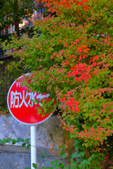 2025_湯河原美術館