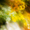 TEST＿トキナー 12-24mmF4 AT-X 124 PRO DX 8