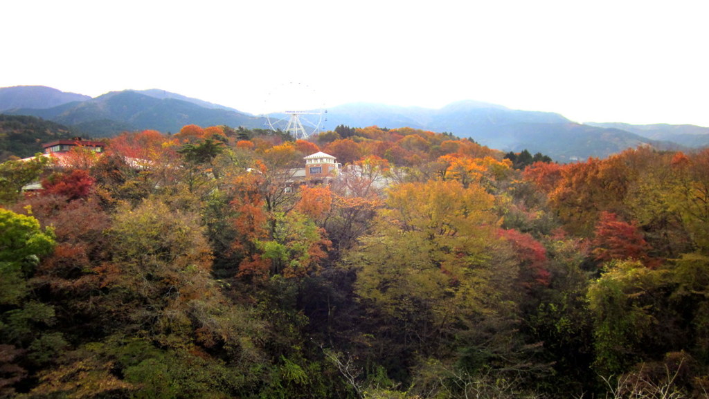 GOTENBA_The colored leaves of the late f