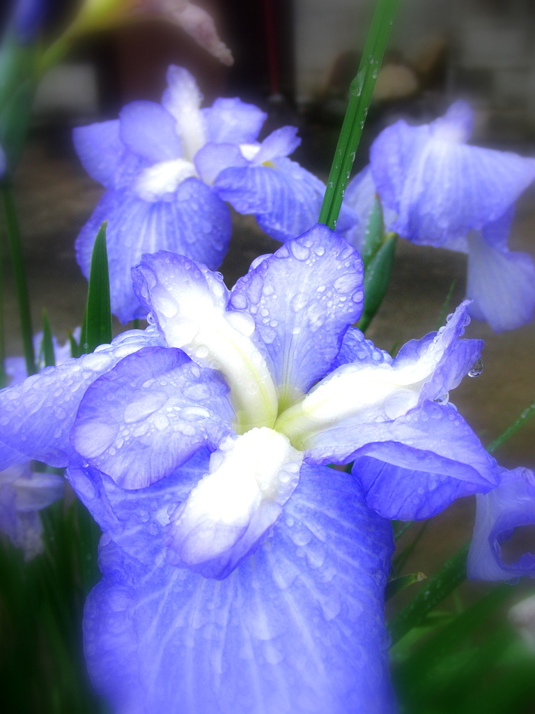 test_EX-FC100_4