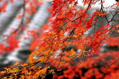 An autumn waterfall