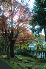 2024HAKONE_Reconstruction_2