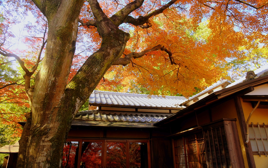 小田原_松永記念館