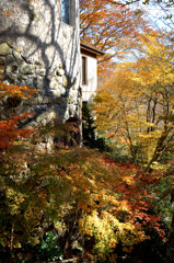1-DSCF0667