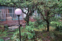箱根湯本徘徊_平賀啓美術館