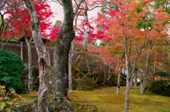 強羅_箱根美術館