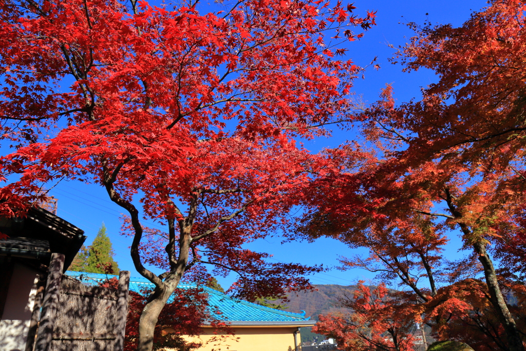 2025_強羅_箱根美術館7