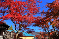 2025_強羅_箱根美術館7