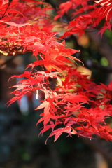 2024 hakoneitabashi1201_6