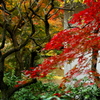 松永記念館