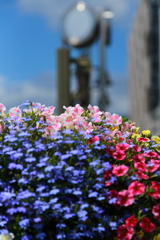 小田原駅_植栽_1